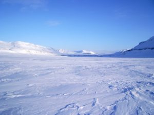 Arctic Desert